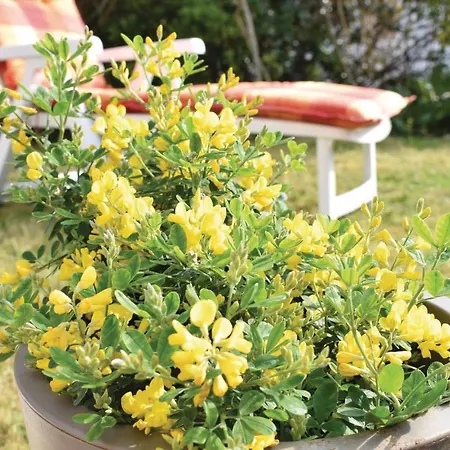 別荘 2 Bedroom Amazing In