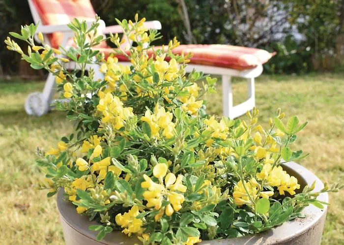 Prázdninový dům 2 Bedroom Amazing In